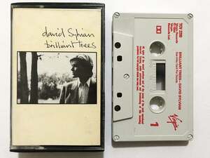 ■カセットテープ■デヴィッド・シルヴィアン David Sylvian『Brilliant Trees』1stソロ・アルバム 坂本龍一■同梱8本まで送料185円
