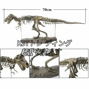 70cm ティラノサウルス レックス ジュラシック 大恐竜 化石 骨 モデルキット プラモデル キット 組み立て式