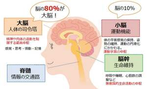 脳の働きが明らかによくなる方法　手足がスムーズに動き自信を持って取り組める仕事術