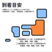 爬虫類餌やり／水やり ディッシュ 自然な岩 樹脂製 リクガメ トカゲカメレオン_画像6