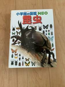  illustrated reference book Shogakukan Inc.. illustrated reference book NEO insect elementary school student oriented 