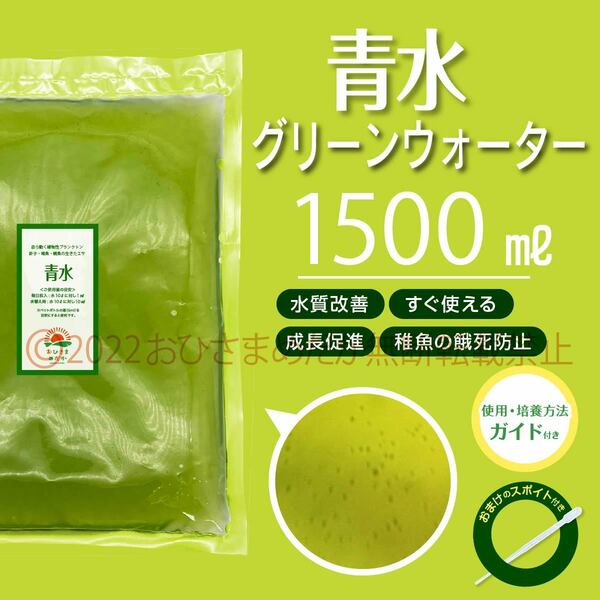 すぐ使える【青水　グリーンウォーター　1500ml】メダカ　めだか　金魚　熱帯魚　ミジンコ　ゾウリムシ　針子にどうぞ　スポイト付き