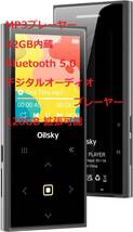 MP3プレーヤー 32GB内蔵 Bluetooth 5.0 デジタルオーディオプレーヤー 128GB 拡張可能 タッチパネル 合金製 内蔵スピーカー FMラジオ D22_画像8