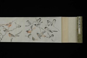 写本/摸写 鳥類図巻 名鳥画巻 全42羽 彩色紙本 巻子装 長さ459cm 1911年頃佐藤天風 1-C082