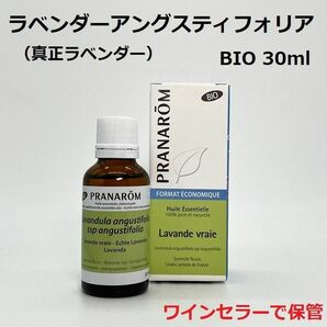 プラナロム ラベンダーアングスティフォリア BIO 30ml お徳用 真正ラベンダー