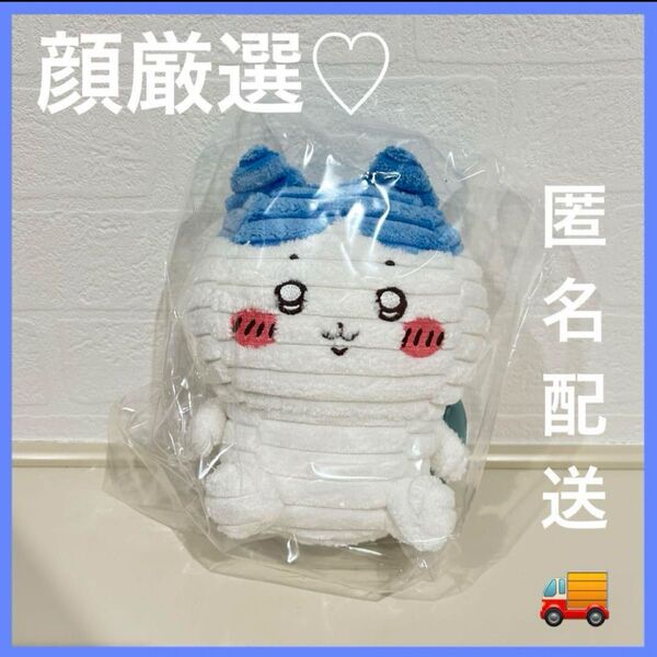ナガノキャラクターズ SHIMA SHIMA ぬいぐるみ ハチワレ シマシマ