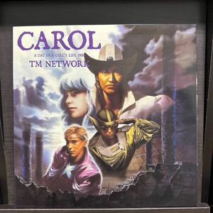 美盤希少2LP!! TM NETWORK TMN ネットワーク CAROL キャロル 32・3H・5070～1 レコード 邦楽 小室哲哉 A DAY IN A GIRL'S LIFE 1991