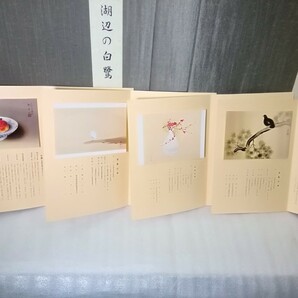  木版画 【ケースのみ】速水御舟『鍋島の皿に柘榴』/菱田春草『湖辺の白鷺』/安田靫彦『紅花白瓶』/横山大観『くよく』 ケース4枚の画像7