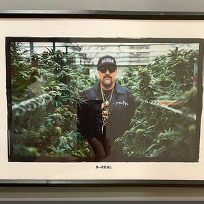 【額付き】A4ポスター B REAL Cypress Hill サイプレスヒル hiphop rap weed ガンジャ マリファナ インテリア B005