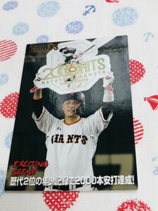 カルビー Calbee プロ野球カード 読売ジャイアンツ 巨人 坂本勇人