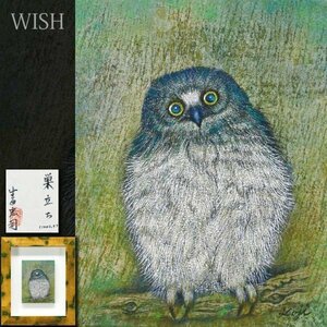 【真作】【WISH】生田宏司「巣立ち」日本画 0号 2003年作 共シール ◆愛らしい梟 鳥図 　　〇人気銅版画家 国際版画展多数入賞 #23123821