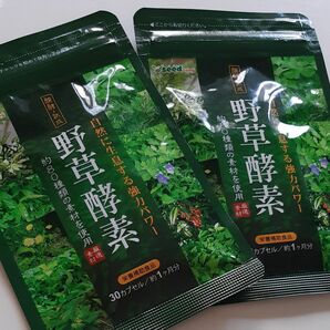 野草酵素 シードコムス サプリメント 美容 健康　自然の恵み　サプリ 2袋セット！青汁粒　野菜　ビタミン　エキス　新品