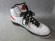 (5720) 試着のみ NIKE AIR JORDAN 2 RETRO エアジョーダン2 レトロ スニーカー サイズ29㎝ DX2454-106_画像1