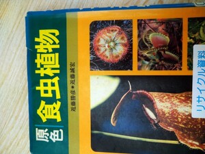 初版　原色　食虫植物　近藤勝彦◎近藤誠宏　家の光協会　図書館廃棄本