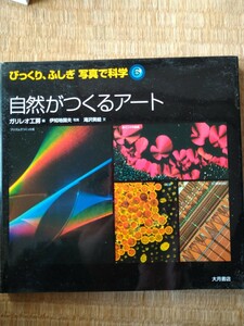 自然がつくるアート （びっくり、ふしぎ写真で科学　６） 滝沢美絵／文　ガリレオ工房／編　伊知地国夫／写真　大月書店