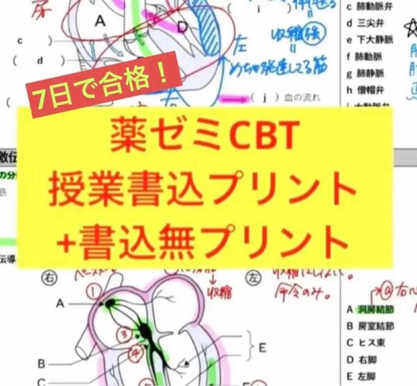 コアカリ重点ポイント集 コアカリマスター 第8版 CBT 薬ゼミ