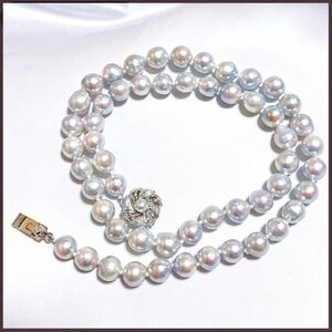 あこや真珠 ネックレス パール シルバー 7mm~9mm 45cm パールネックレス pearl