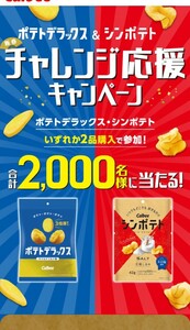 ■即決■6点分応募券■カルビー チャレンジ応援キャンペーン■クッション■ブランケット■QUOクオカード1000円分1800名様当選■懸賞応募■