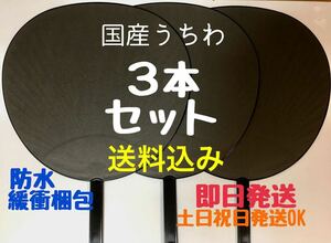 送料込　国産 ジャンボうちわ 黒 (艶なし) 無地 3本