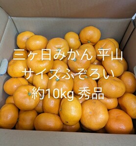 三ヶ日みかん 約10kg サイズふぞろい 秀品 平山 みかん 家庭用 果物