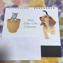 ◆【即決】かわいい犬猫 2024年卓上カレンダー！コーギー・マルチーズ・ブルドッグ・チャトラなど★_画像1