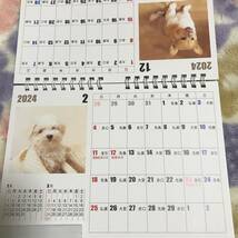 ◆【即決】かわいい犬猫 2024年卓上カレンダー！コーギー・マルチーズ・ブルドッグ・チャトラなど★_画像2