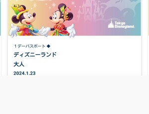 1/23　ディズニーランド 入園済みチケット グッズ購入 オンラインショッピング　1月23日 QRコード　40周年　グランドフィナーレ