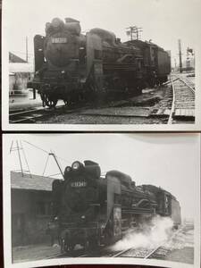 昭和鉄道写真：北海道追分機関区のD51 345[追分]2景。1975年頃撮影。7.7×11.1㎝。