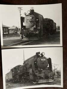 昭和鉄道写真：北海道岩見沢第一機関区のなめくじドーム機D51 59/2景。1974年頃撮影。7.7×11.1㎝。