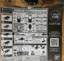 【未開封】いきもの大図鑑　ガシャポン　くわがた 03・　ローゼンブルグ オウゴンオニクワガタ　　（黒）_画像4