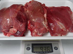 天然鹿肉　捕れたて鹿肉　　モモ肉　その他　　９３６　ｇ　　同梱可能