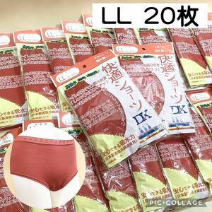 1000円～【LL】20枚★女性用 下着 大量 まとめて★尿漏れ パンツ★失禁 対策 ショーツ【送料 佐川急便 850円】