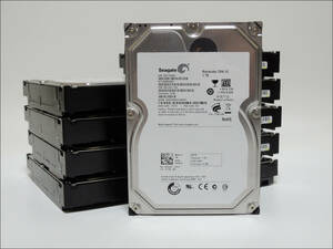 Seagate 3.5インチHDD ST31000528AS 1TB SATA 10台セット #11842