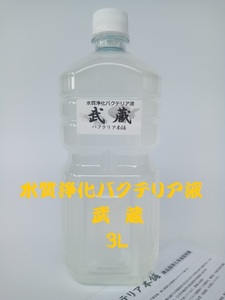 【バクテリア本舗 本店】武蔵 [3L]高濃度水質浄化バクテリア液(らんちゅう,めだか,グッピー,金魚,錦鯉,シュリンプ,熱帯魚,海水魚）