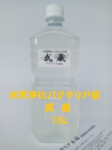 【バクテリア本舗 本店】武蔵 [1.5L]高濃度水質浄化バクテリア液(らんちゅう,めだか,グッピー,金魚,錦鯉,シュリンプ,熱帯魚,海水魚）