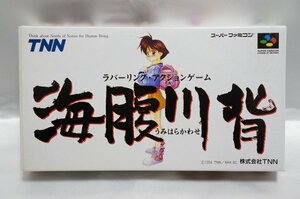 SFC 海腹川背 / うみはらかわせ TNN Super Famicom スーパーファミコン 海腹川瀬