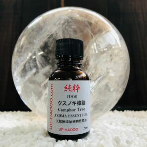 純粋日本クスノキ樟脳 21ml エッセンシャルオイル 日本産 ハーブ 柑橘系 クスノキ UP HADOO 自然精油 アロマオイル