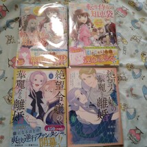 初版!絶望令嬢の華麗なる離婚～幼馴染の大公閣下の溺愛が止まらないのです 2_画像1