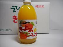 ２ケース買いでお得5％引き！地元愛媛の道の駅で人気！愛媛県産果汁１００％清見タンゴールストレートジュース５００mlｘ24本入り_画像2