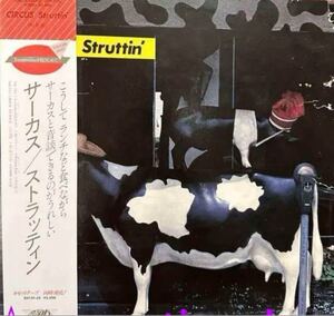 サーカス/Struttin’ ★プロモーションサンプラーvinyl★白レーベル希少盤 帯付 ピカピカ盤面