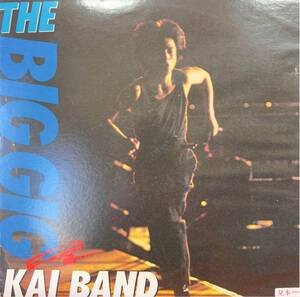 甲斐バンド KAI BAND THE BIG GIG★プロモーションサンプラー2LP LIVE ☆promotional copy 