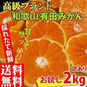 みかん 2kg 訳あり 和歌山 有田みかん ありだみかん 農家直送 温州みかん フルーツ 果物