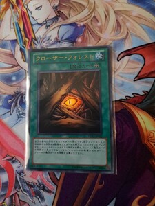 遊戯王　「　クローザー・フォレスト 」未使用　