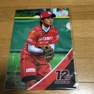  Bick camera woman softball Takasaki Bee Queen river .. month clear file 