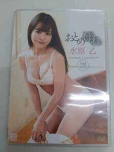 61t3001　DVD おとめぼれ 水原乙 1stDVD NOST-005 未開封