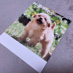 ☆PUPPY CALENDER DOG 2024☆