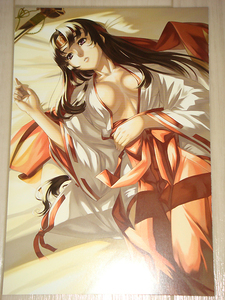  Queen's Blade [ postcard /tomoe&eki Donna compilation C] new goods 