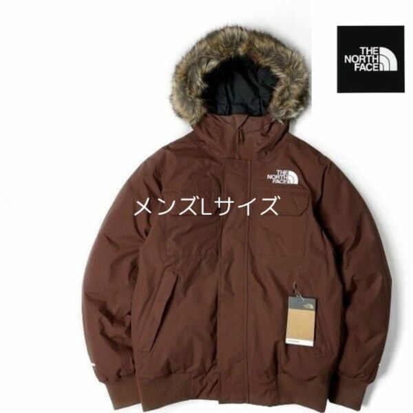 THE NORTH FACE MCMURDO PARKA マクマード　ボンバー　ジャケット　 パーカー　ブラウン　メンズ　Lサイズ