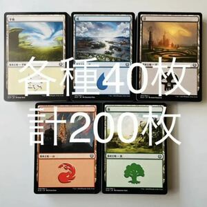 MTG 日本語 基本土地 基本地形 平地 島 沼 山 森 各種40枚 計200枚 リミテッド用 シールド ドラフト 大量