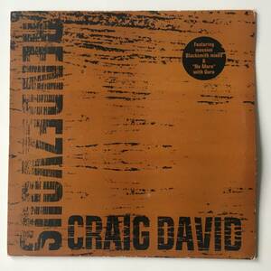 2418●Craig David / Guru Rendezvous / No More / 12 WILD 36RBP / RnB/Swing, UK Garage, Hip Hop / UK / LP 12inch 